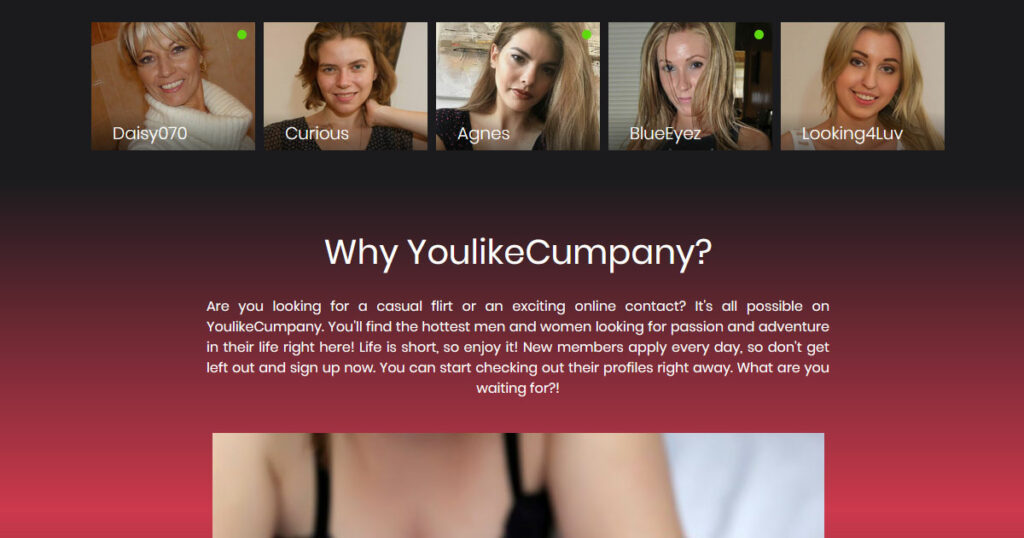 YouLikeCumpany Profile Quality