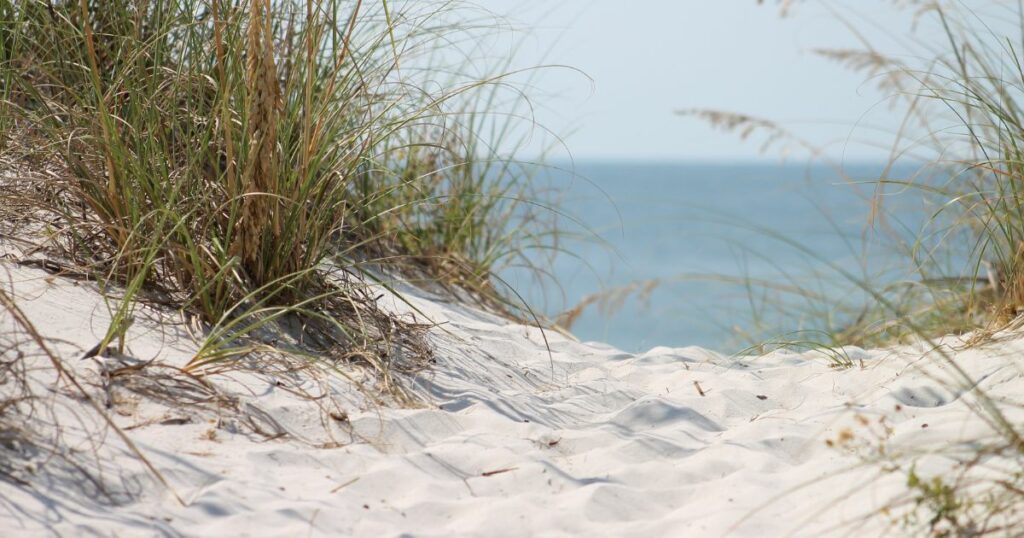 The beach is one of the best places to hook up without getting caught