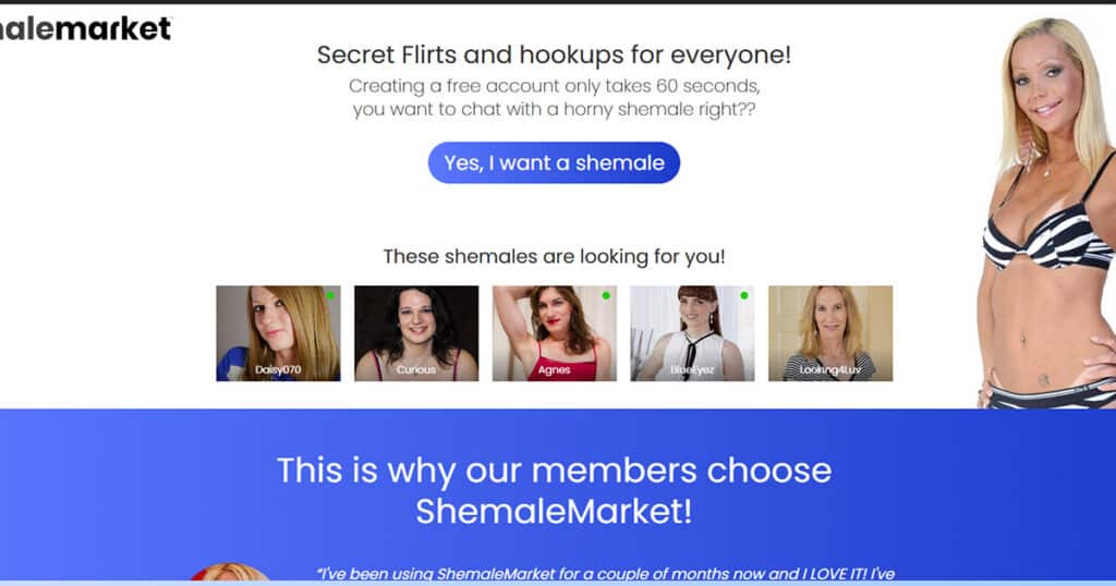 First Impressions of ShemaleMarket